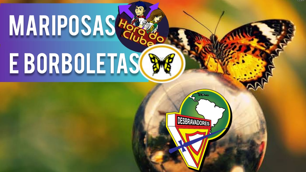 Mariposas e Borboletas