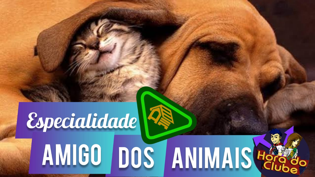 Especialidade Amigo dos Animais