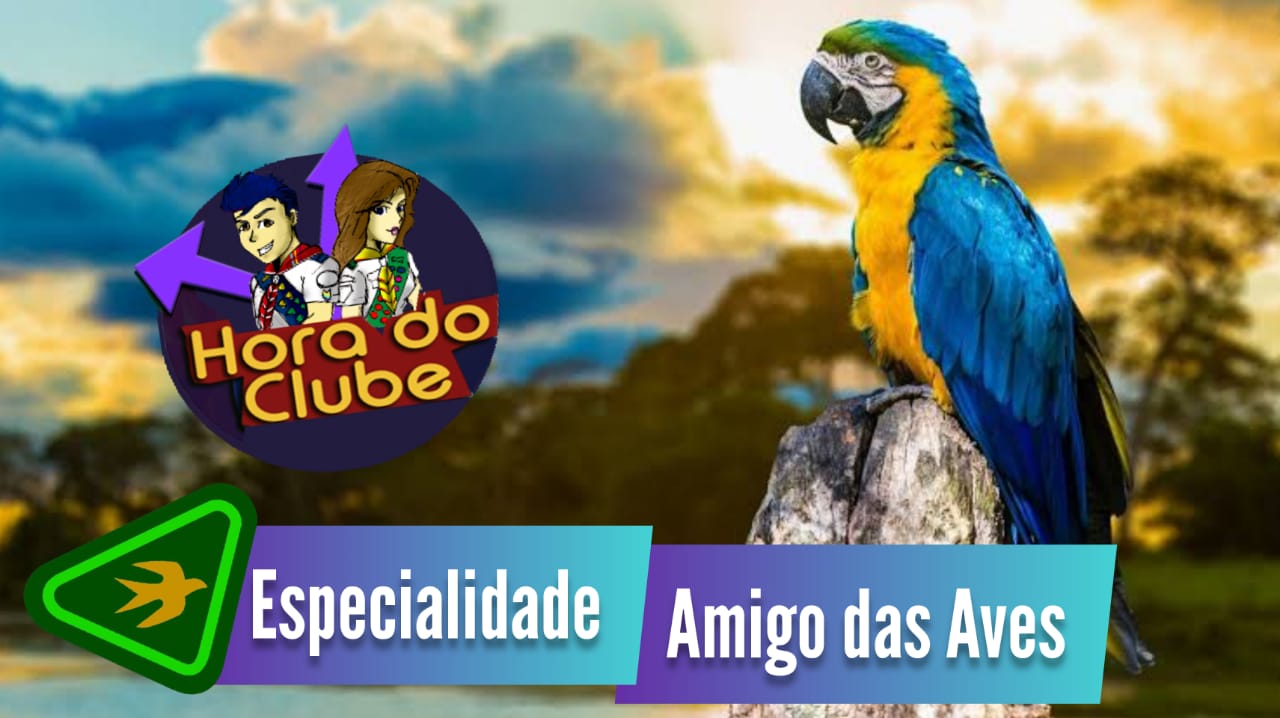 Especialidade Amigo das Aves