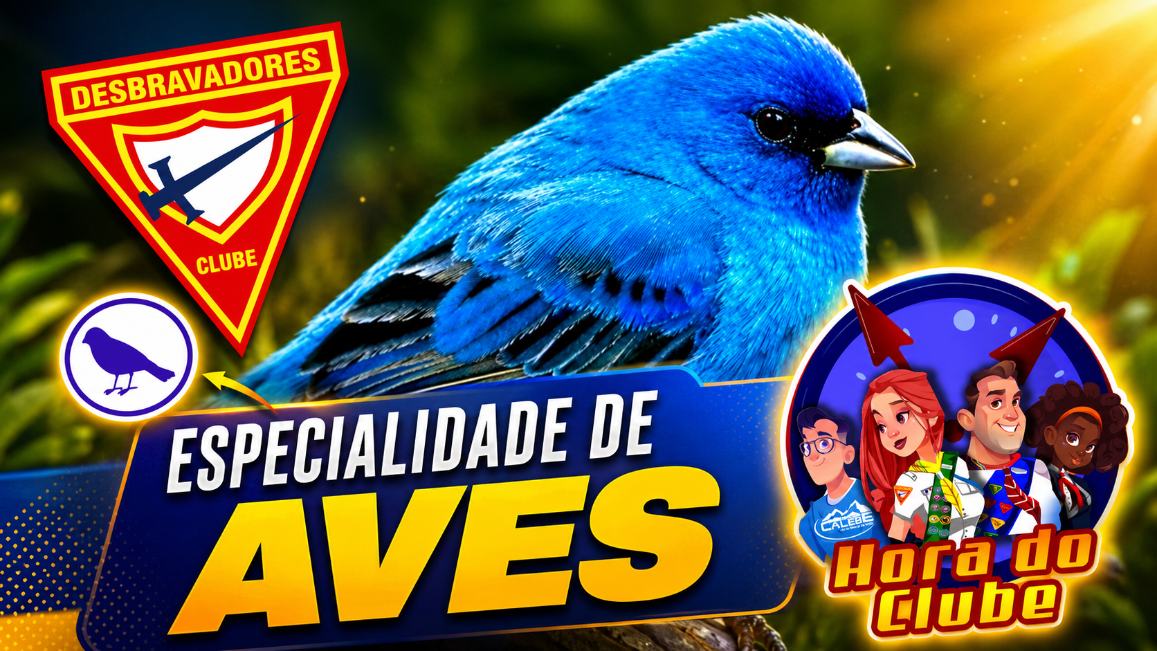 Especialidade de Aves- Desbravadores –